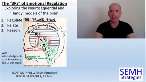 Emotional Regulation Skills How The Handy Brain And The 3r