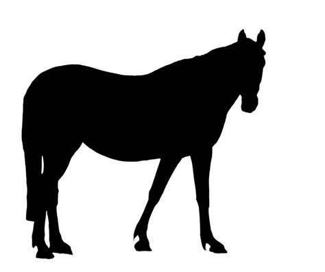 Black Horse Silhouette Clipart Free Stock Photo Public Domain Pictures