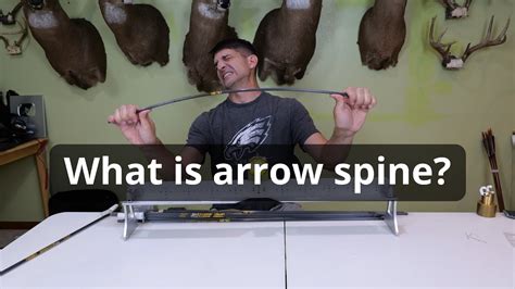 What Is Arrow Spine Youtube