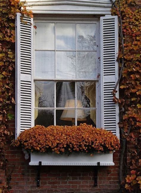 32 Beautiful Fall Window Boxes Design Ideas Magzhouse