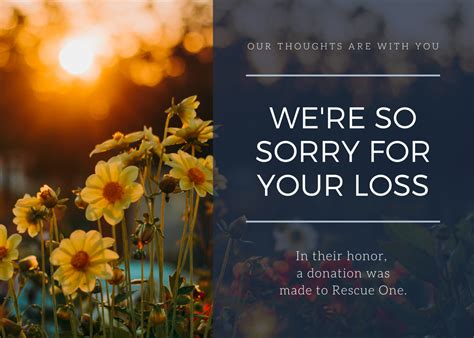 Were Sorry For Your Loss Rescue One