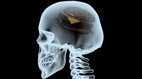Striking Study Reveals How Dietary Fats Enter The Brain And Cause
