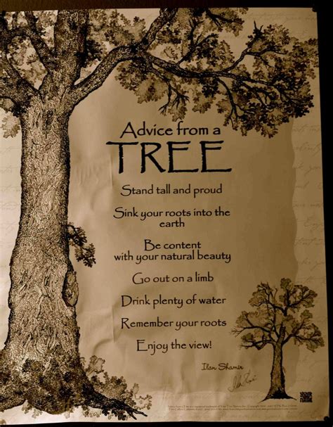 Inspirational Quotes Oak Tree Quotesgram