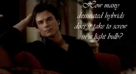 Vampire Diaries Damon Quotes Quotesgram