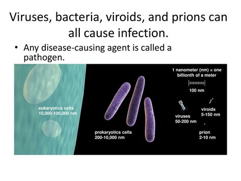 Viruses Bacteria Viroids And Prions Can All Cause Infection Ppt