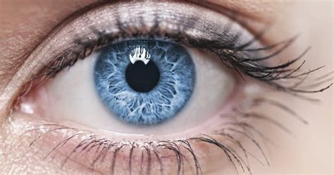 Impressionante olhos humanos também possuem sensores magnéticos Novidades e Jogos Online Rg