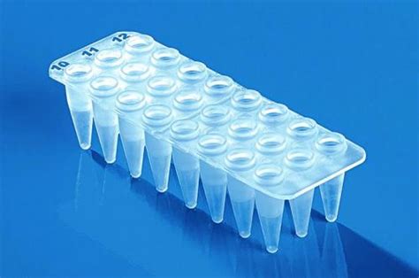 24 48 Well Pcr Plates Non Skirted Pp For Qpcr Labfriend