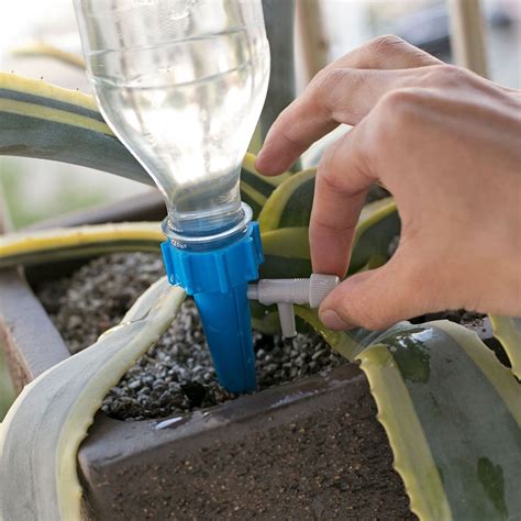 How To Make Your Own Drip Irrigation System