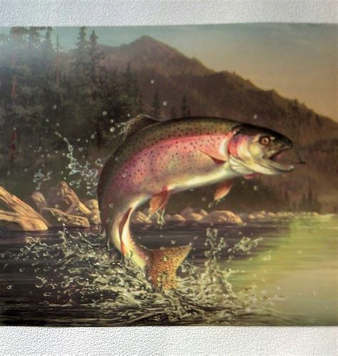 Bass Fishing Wallpapers For Android Wallpaper Cave