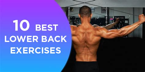 Lower Back Muscles Workout 5 Best Lower Back Exercises Workout The