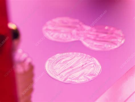 Hormone Replacement Therapy Patch Stock Image M6250700 Science