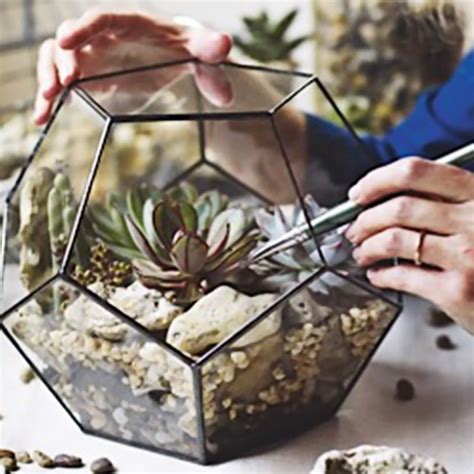 Large Geometric Glass Terrarium Container Ts For Gardeners By Waen