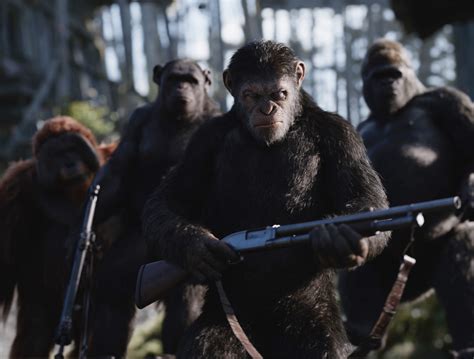 Podcast Film Focus Episode 35 War For The Planet Of The Apes Review