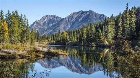 Download Wallpaper 1920x1080 Lake Mountains Spruce Trees Branches Full Hd Hdtv Fhd 1080p