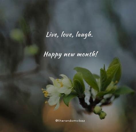 90 New Month Quotes Prayers And Blessings To Inspire You New Start