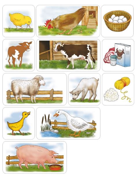 Domáce Zvieratá úžítok Farm Animals Farm Activities Daycare Crafts