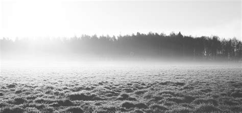 Mystical Field Covered With Thick Fog Stock Photo Image Of Light