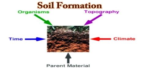 Glassman, 1982), as most studies on andesite. Soil Formation - Assignment Point