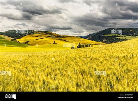 Rolling Hillsides High Resolution Stock Photography And Images Alamy