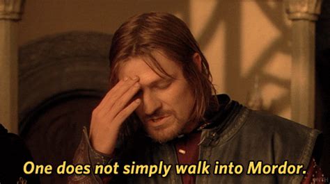 Lord Of The Rings One Does Not Simply Walk Into Mordor  Find