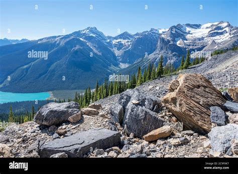 View Of Emerald Lake From Burgess Pass In Yoho National Park British