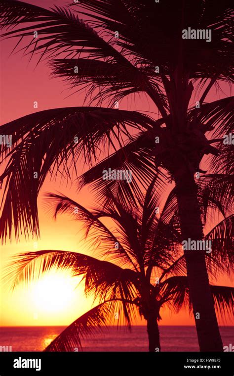 Tropical Sunset Scene Stock Photo Alamy