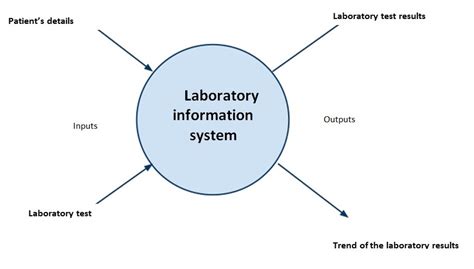 Laboratory Information System Application Overview Free Essay Example