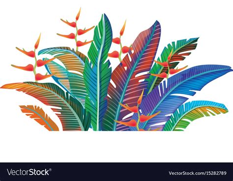 Colored Tropical Leaves Royalty Free Vector Image