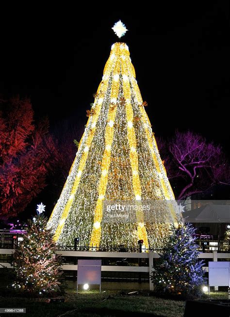 The National Christmas Tree At 93rd Annual National Christmas Tree