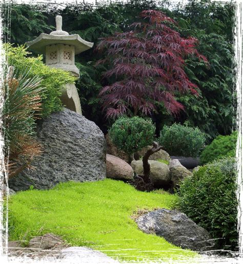 my japanese garden - Google Search | Japanese garden, Landscape design, Japanese garden plants