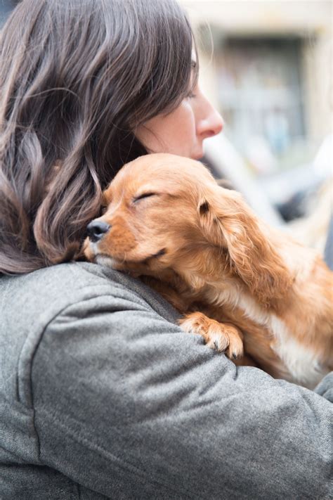 24 Photos That Capture The Magic Of Dogs Finding Their Forever Homes