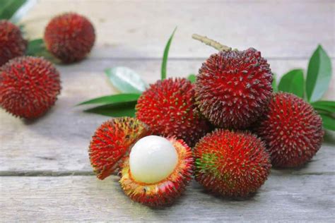 Unusual Fruit - 10 Weird, Exotic and Rare Fruits from Around the World ...