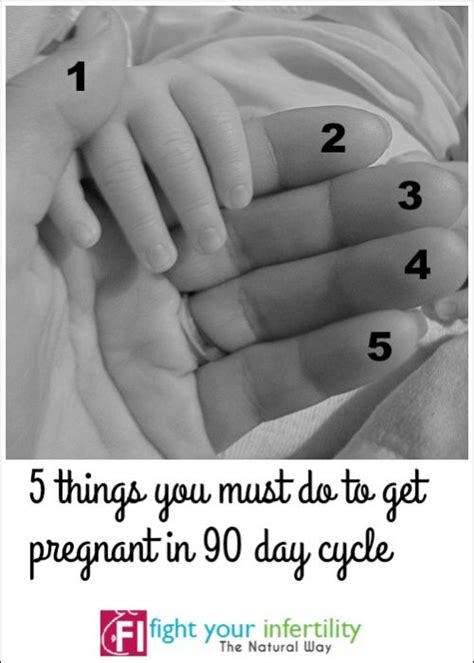 Exactly How To Get Pregnancy In A 90 Day Cycle Fight Your Infertility