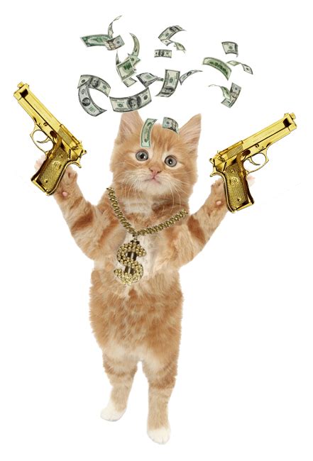 Gangster Cat Gangster Cats Cat Quotes Funny