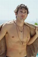 Ashton Kutcher | Ashton kutcher, Ashton kutcher shirtless, Actors