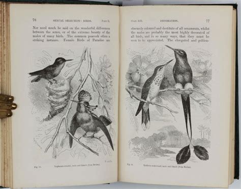 The Descent Of Man And Selection In Relation To Sex 2 Volumes By