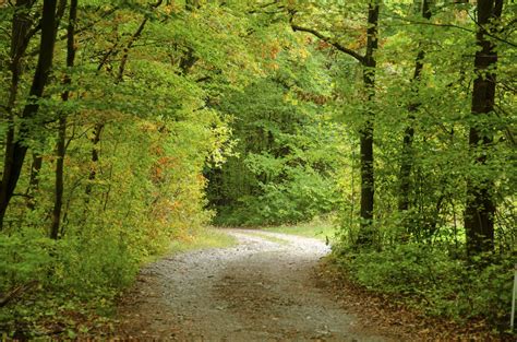 Waldweg Foto And Bild Landschaft Wald Natur Bilder Auf Fotocommunity