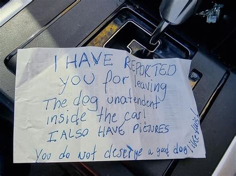 Womans Heartbreaking Explanation For Leaving Her Dog In The Car She