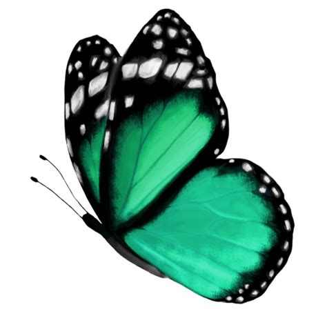 Cropped Logobutterflypng Melissa Storm