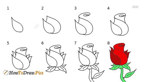 How To Draw Rose Pictures Rose Step By Step Drawing Lessons