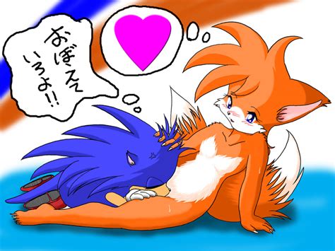 Rule 34 Anthro Color Cunnilingus Female Fox Fur Furry Hedgehog