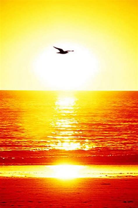 Golden Sunset Over Sea Beach Iphone 4s Wallpapers Free Download