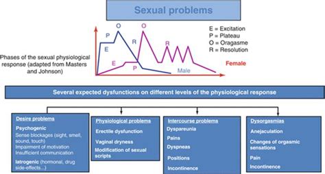 A Comprehensive Guideline On Sexual Care In Case Of Cancer Cancer