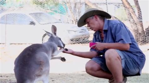 Video Meet Queenslands Roo Lady Australian Geographic