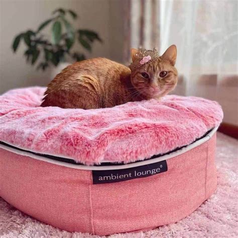 Pet Beds Cat Beds Designer Cat Bean Bags Ballerina Pink Limited
