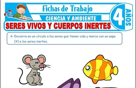 Seres Vivos Y Cuerpos Inertes Para Niños De Cuatro Años Fichas