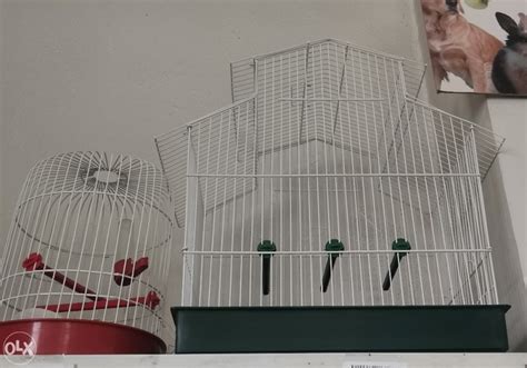 Kavez Za Ptice Papagaje Kavezi Veliki Mali Kavezi I Pribor OLX Ba