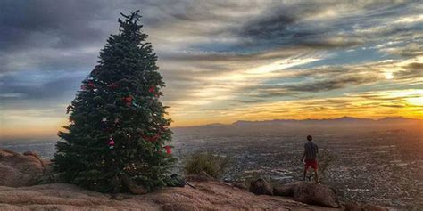 Camelback Mountain Christmas Tree Earns Reprieve Will Go Back Up
