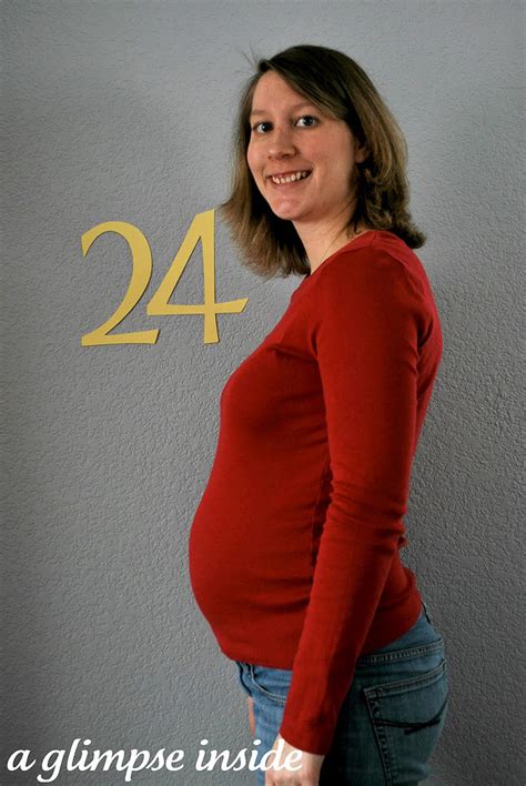 24 weeks pregnant the maternity gallery