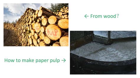 How To Make Wood Pulp Part 1